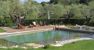 Stop Swimming In Chemicals Build A Natural Pool Swimming Pond Natural Pool Natural Swimming Pool