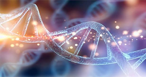 Che cos'è la vita? I cinque principi fondamentali della biologia | Il Bo Live