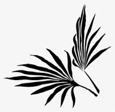 Palm Leaf Png Transparent Palm Leaf Png Image Free Download Pngkey Find the best free stock images about palm leaves. palm leaf png transparent palm leaf