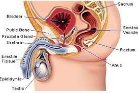 If certain symptoms occur or persist, however. Signs Of Cancer In Men Could It Be Cancer