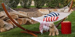 Brushing them regularly helps and so does providing them with good chew toys and chew treats. The Best 4th Of July Sales Still Available Buffy Spanx And West Elm