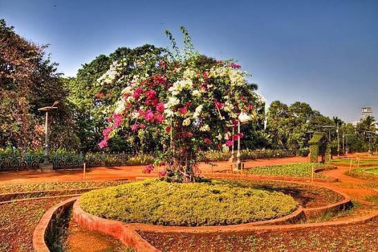 Hanging Gardens - Mumbai Travel Guide, Places to see, Attractions - Trodly