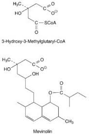 Coenzym a (коэнзим а) d8. 3 Hydroxy 3 Methylglutaryl Coenzym A Reductase Lexikon Der Biologie