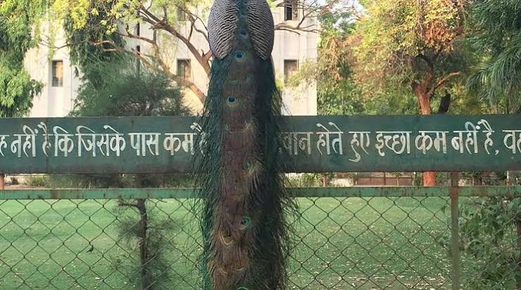GUJARAT VIDYAPITH - All You SHOULD Know Before Going 2026 (with Photos) - Tripadvisor