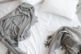 My clothes are wetting the bed.: Bettwanzen Und Andere Insekten Der Feind In Meinem Bett Tipberlin