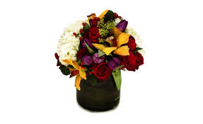 If you feel this position is a good fit for you, please email your resume to email protected. My Fair Lady S Flowers