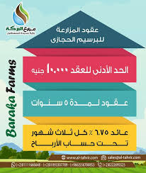 مزارع البركة عقود المزارعة للبرسيم الحجازى للحجز والاستعلام يرجى الاتصال جوال واتساب 002 01111666648 002 01093307789 002 0222695525 السعودية 00 E Farm Farm