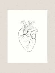 Check spelling or type a new query. Illustration Anatomical Heart With Flowers Drawing Illustration Of Many Recent Choices