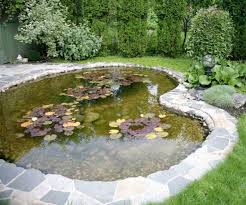 Find a koi pond filter on gumtree , the #1 site for classifieds ads in the uk. Nt Labs How To Start A New Pond