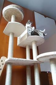 Build your own cat trees, cat towers, cat condos, scratching posts. Diy Cat Trees Your Cat Will Love And Use