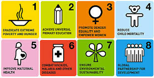 Development goals and policy priorities. Millennium Development Goals The Light
