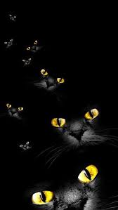 If the intention is to denigrate the work of committees, it does not support the case. 150 Black And Gold Ideas Gold Black Gold Christmas Black And Gold Aesthetic