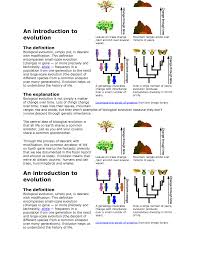 Chapter 22 descent with modification: Introduction To Evolution Studocu
