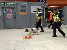 English Springer Spaniel Wikipedia