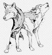 In drawing from this book, copy the last diagram, or finished picture, of the particular series. Line Art Drawing Black And White Gray Wolf Watercolor Koi Carnivoran Dog Like Mammal Dog Breed Png Pngwing