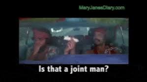 That's the fifth time this week, and it's only tuesday, man. 10 Unforgettable Quotes In Stoner Movies Mary Jane S Diary
