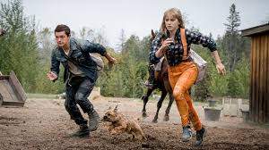 Isubtitles allows users to search for movie subtitles by title, release year, genre, or anything using its simplified user interface. Chaos Walking Subtitles Download English Just Top List