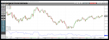 the enigma of the u s dollar invesco db usd bullish etf