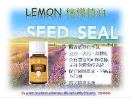 檸檬 lemon youngliving 悠樂芳 加入會員 https www youngliving com vo signup new start sponsorid healthy essential oils yl essential oils essential oils