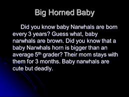 NARWHAL By: Ethan and Nick!. Introduction Did you know that ...