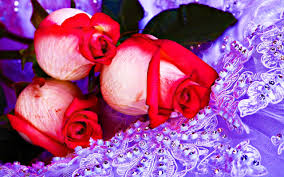 Flower hd wallpapers for for android, iphone, desktop. Amazing Flowers Wallpapers For Whats App Data Src Best Beautiful Flowers 2560x1600 Wallpaper Teahub Io