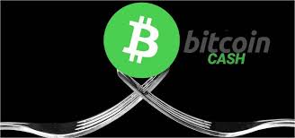 Most popular bitcoin exchanges in mexico. Bitcoin Btc Ciudad De Mexico Cdmx Exchange Criptomonedas Obsidiam Compra Y Venta De Bitcoin Y Las Principales Crypto En Ciudad De Mexico Cdmx