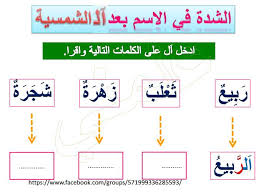 التضعيف في اللغة العربية الشدة دروس و تمارين موارد المعلم