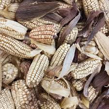 Here is a little write up nhpr did on...