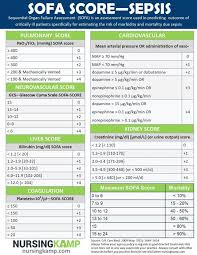 Ck Nursing Kamp Sofa Score Assessment Fundamentals Of Nursing Nursing Mnemonics Mean Arterial Pressure