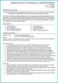 So, they have a couple of seconds to skim each one. Digital Marketing Cv Example With Writing Guide And Cv Template