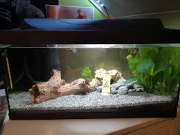 Typen, fashion, haus & garten, elektronik, motors My First Aquarium Setup 15 Gallons Thoughts Tips Advice Welcome Aquariums