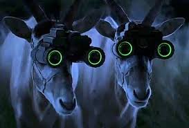 We Can See You Carl My All Time Favorite Commercial Night Vision Funny Commercials Talking Animals