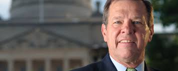 Capital Link Consultants