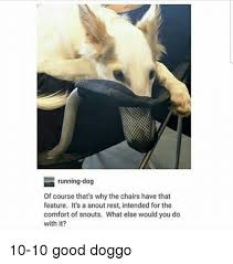Running Dog Of Course That S Why The Chairs Have That Feature It S A Snout Rest Intended For The Comfort Of Snouts What Else Would You Do With It 10 10 Good Doggo Meme