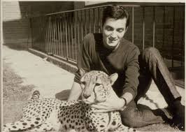 Siegfried & roy began performing at the mirage in 1990. Roy Horn Of Siegfried Roy Dies From Covid Complications News 1130