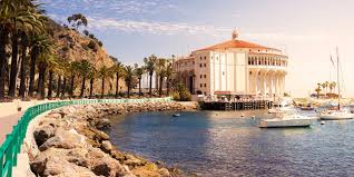 Came back from catalina a few hours ago, tired and hungry from a total of over three hours on the ship rides to and from avalon in catalina. Catalina Island 2021 Best Of Catalina Island Tourism Tripadvisor