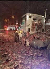 Jjba cursed images art joshuu higashikata. Cursed Images