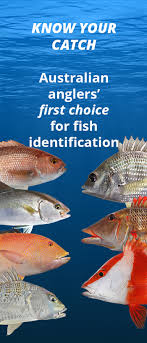 Idfish Fish Identification Application