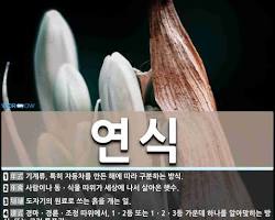 연식 이미지
