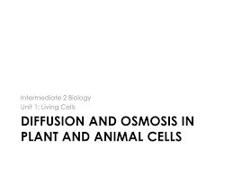 Organelle Function Types & Importance - Lesson | Study.Com