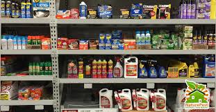 Pest infestations of any kind are just no laughing matter. The Cheapest Pest Control At What Price
