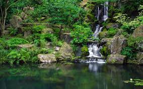 Pond In The Forest Google Search Portland Japanese Garden Waterfall Waterfall Wallpaper