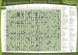 companion planting chart increases vegetable production