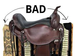 How To Measure For A Western Saddle Pad Guide That