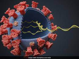 1 day ago · the delta plus variant is similar to the existing delta variant except that it has a spike protein mutation called the k417n. Delta Plus Variant Covid 19 Why Is Delta Plus A Variant Of Concern In India
