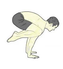 Yoga bakasana asento ardha matsyendru0101sana, fitness silhouette figures, monochrome, computer wallpaper, man silhouette png. Bakasana Crane Pose Steps And Benefits Sarvyoga Yoga