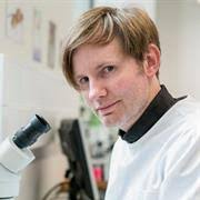 Owen Marshall Profile