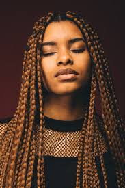 Black And Brown Box Braids Big Tristanbarkowski G O L D E N Desiree Shot By Tristan Barkowski C Box Braids Haute Hair Brown Box Braids