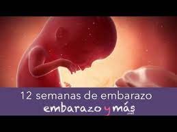 12 Semanas De Embarazo Tercer Mes Embarazoymas Youtube