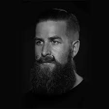 Three artists experiment with the Colours of New Zealand